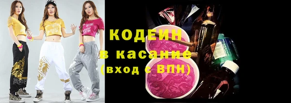 ГАЛЛЮЦИНОГЕННЫЕ ГРИБЫ Корсаков