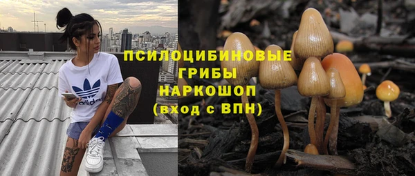 ГАЛЛЮЦИНОГЕННЫЕ ГРИБЫ Корсаков