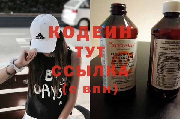 ГАЛЛЮЦИНОГЕННЫЕ ГРИБЫ Корсаков