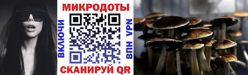 Галлюциногенные грибы Psilocybe  Суровикино 