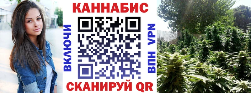 KRAKEN сайт  Суровикино  МАРИХУАНА конопля 